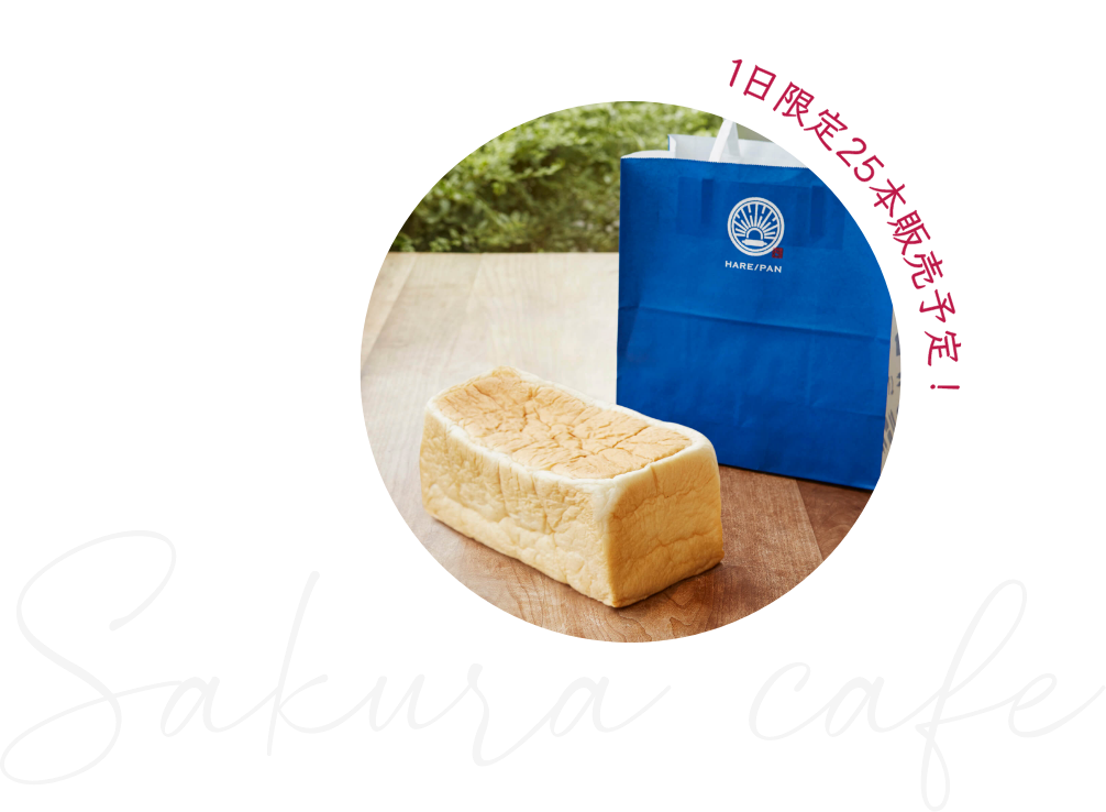 sakura cafe