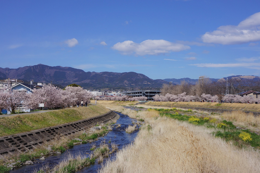 南足柄の自然環境